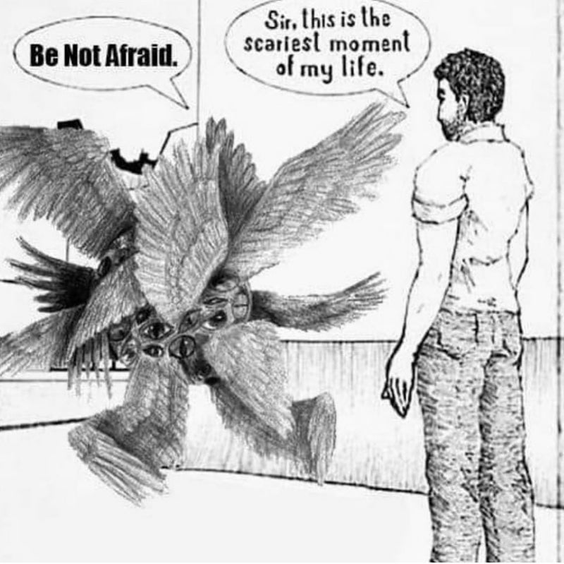 Be Not Afraid. Sir, this is the scariest moment of my life. A pencil drawing of a man facing a biblically accurate angel made of wings and eyes.
