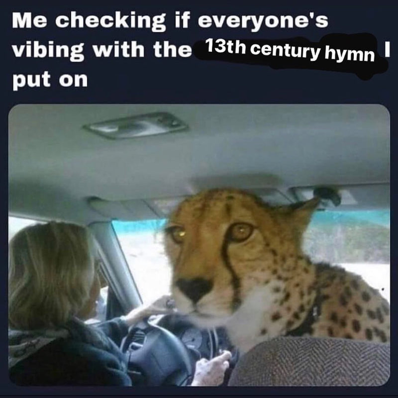 Me checking if everyone's vibing with the 13th century hymn I put on. A cheetah in the passenger seat of a car turns to stare at the camera.