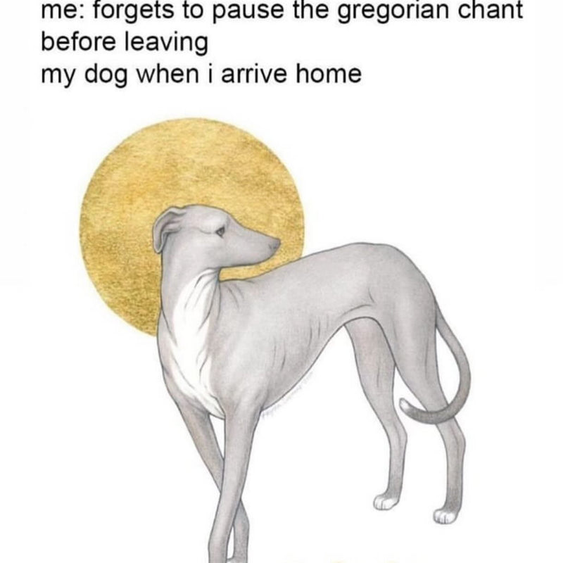 me: forgets to pause the gregorian chant before leaving. my dog when i arrive home: an icon-style drawing of a greyhound standing in front of a gold halo.