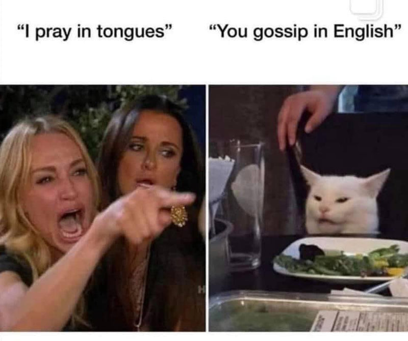 "I pray in tongues" "You gossip in English". Woman yelling at the cat meme, with a screaming woman pointing and a white cat at a dinner table.