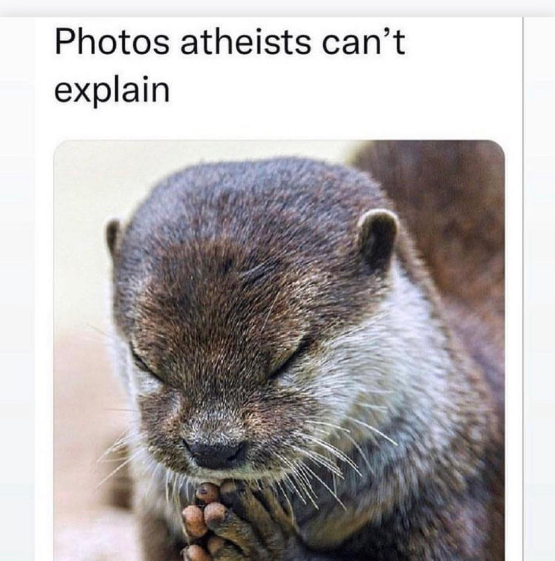 Photos atheists can't explain, over a close-up of an otter with its eyes closed and paws pressed together as if praying.