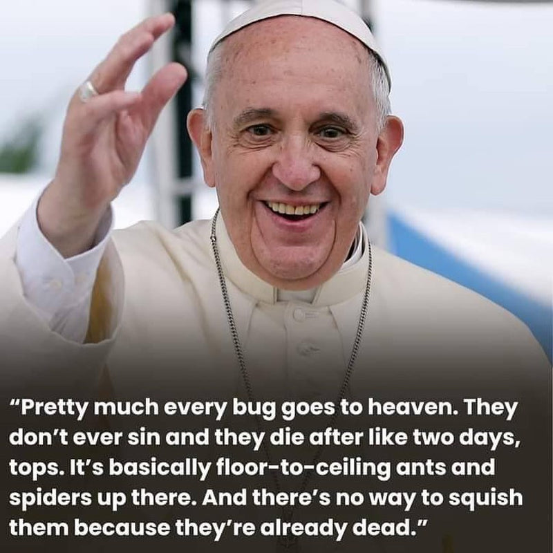 Pretty much every bug goes to heaven. They don't ever sin and they die after like two days, tops. It's basically floor-to-ceiling ants and spiders up there. And there's no way to squish them because they're already dead. Over a photo of a smiling, waving Pope Francis.