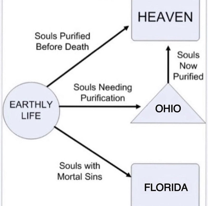 A Catholic afterlife diagram: Earthly life leads to Heaven for souls purified before death, to Ohio for souls needing purification, and to Florida for souls with mortal sins.