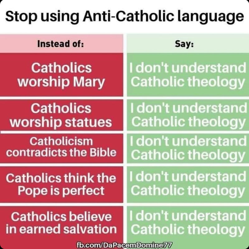 Stop using Anti-Catholic language. Instead of: Catholics worship Mary, Catholics worship statues, Catholicism contradicts the Bible, Catholics think the Pope is perfect, Catholics believe in earned salvation. Say: I don't understand Catholic theology.