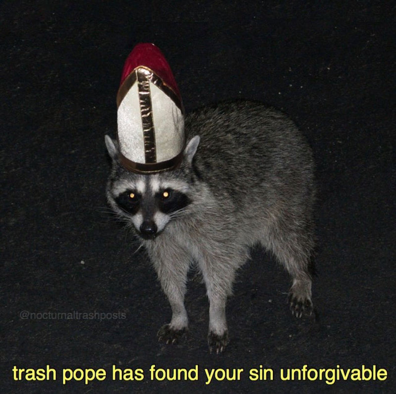 trash pope has found your sin unforgivable, over a photo of a raccoon wearing a papal mitre at night.