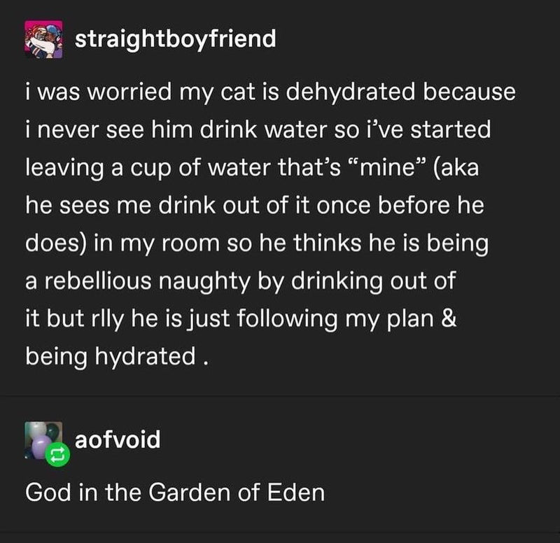 Tumblr: i was worried my cat is dehydrated because i never see him drink water so i've started leaving a cup of water that's "mine"... so he thinks he is being a rebellious naughty... but rlly he is just following my plan & being hydrated. Reply: God in the Garden of Eden