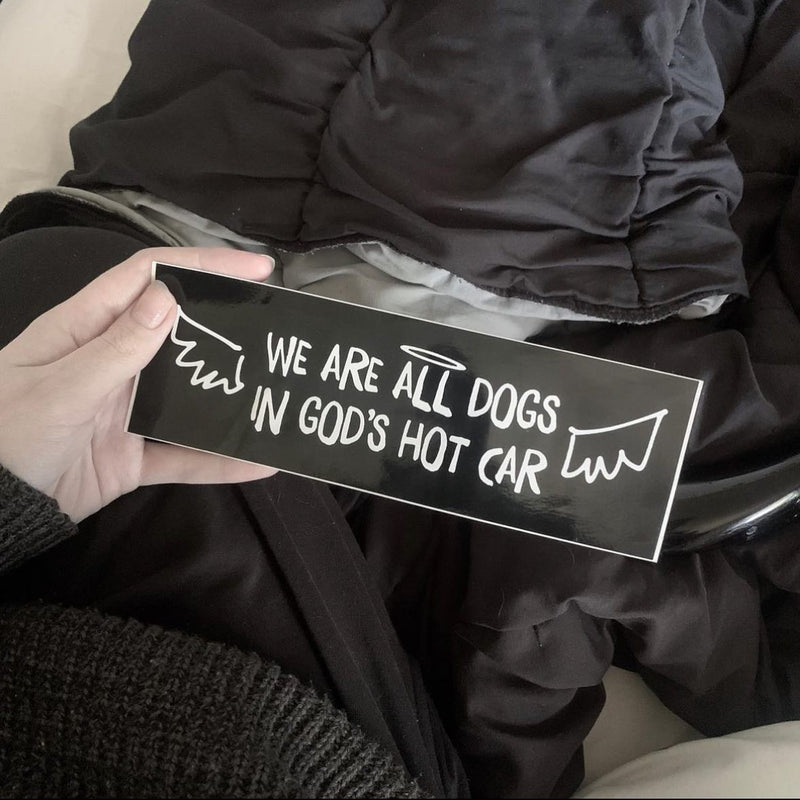 We are all dogs in God's hot car. A hand holds a black bumper sticker with the slogan, decorated with angel wings and a halo.