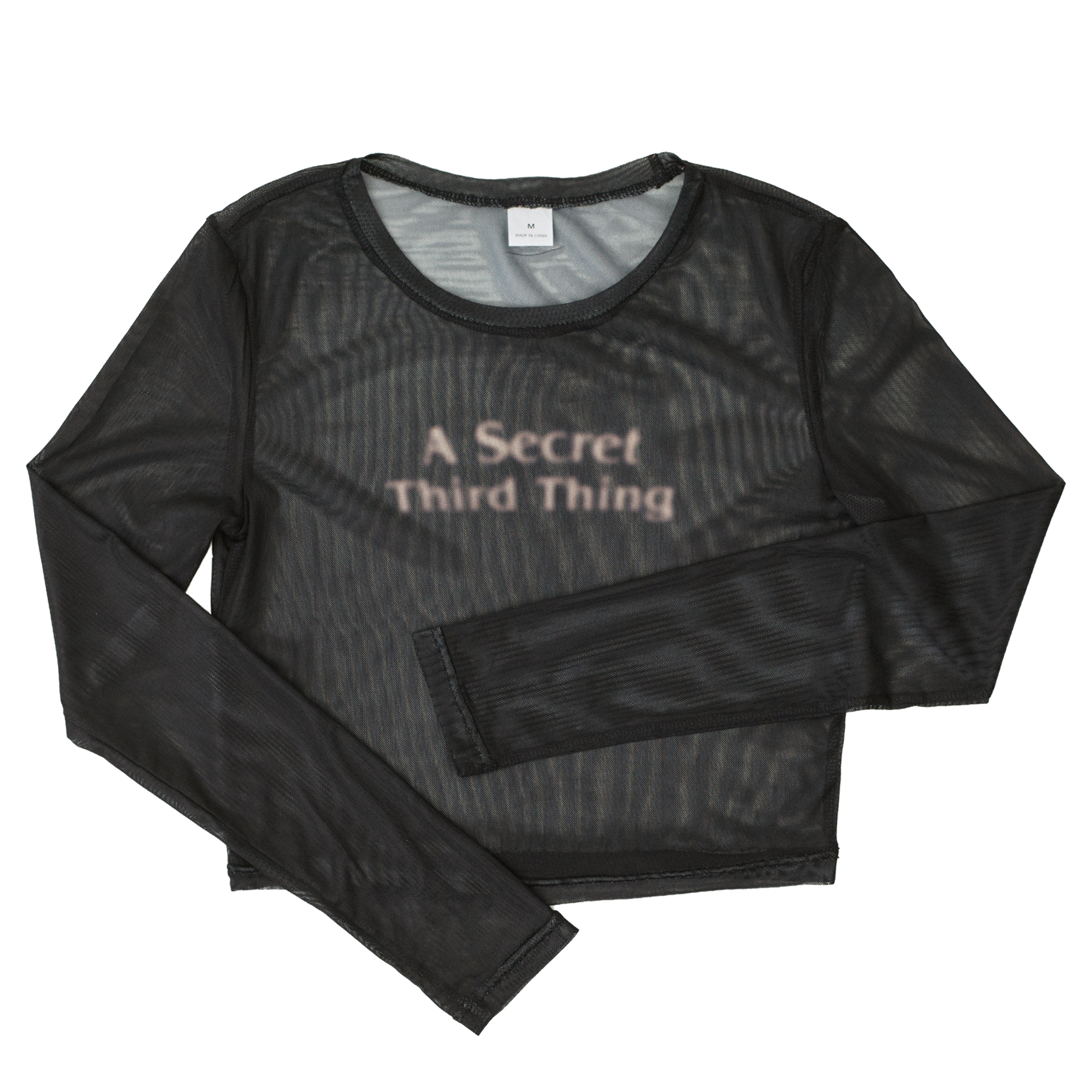 Black mesh crop top with long sleeves. Text reads "A Secret Third Thing"